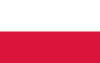 Fuksja-różowy - Róże ogrodowe - Dinky® - róża parkowa - pharmarosaneonatal.pl